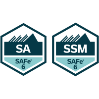 safe-sa-ssm 认证徽章